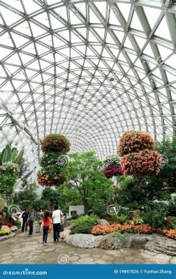 辰山植物園在哪裏，不妨從其歷史背景、園區特色、生態保護及教育功能等多個角度進行探討。